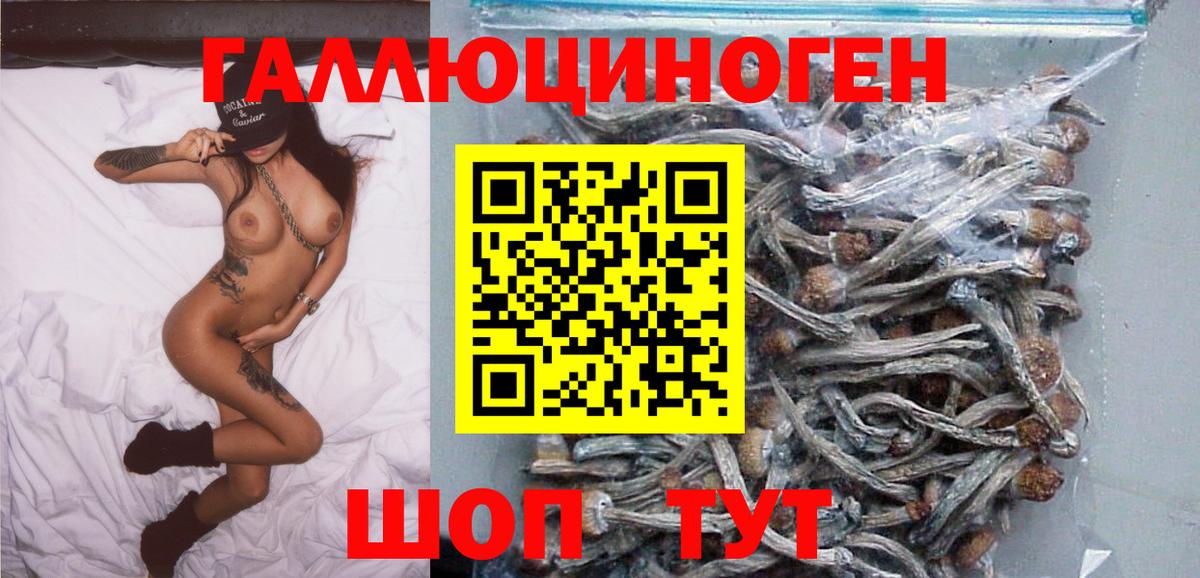 Псилоцибиновые грибы мухоморы  Псилоцибиновые грибы MAGIC MUSHROOMS  Вход с VPN  цена наркотик  Камень-на-Оби 